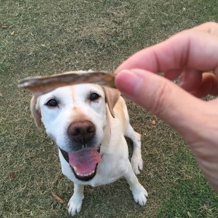 3ca2ae06 3474 4d59 93a2 9c793c06a499