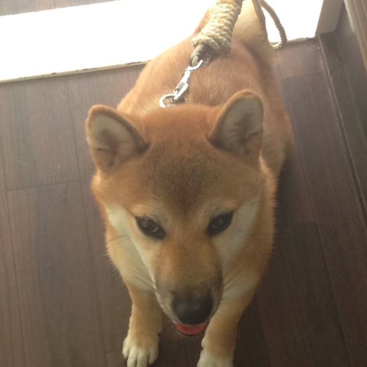 3ca35f38 4039 4b1c b89a 45a02cccd5fb