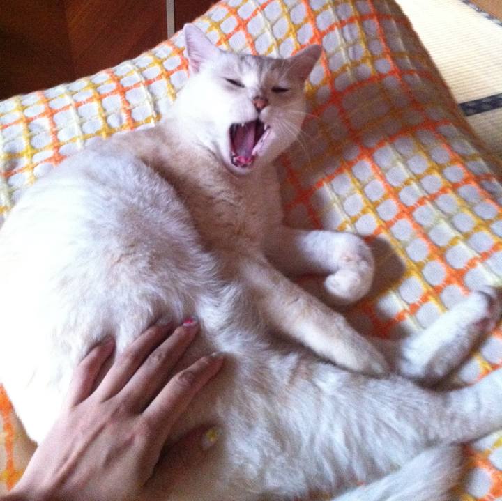 3ca385e6 d1ab 4f35 b37d 01d5f0112bd7