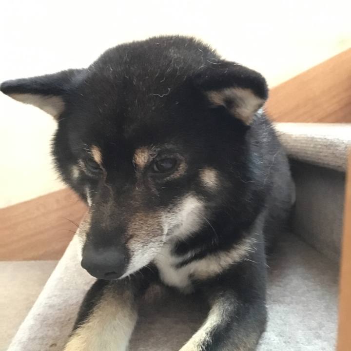 3ca42536 fcb7 40fd 91c9 3f141d05cc2b