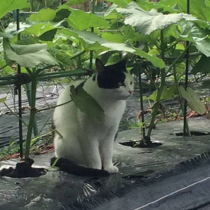 3ca43be2 86c7 41b3 a772 39704e0288a6