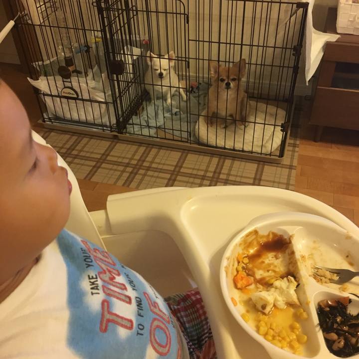 3ca4558e 2660 49b1 bfd0 86e2d750a55f