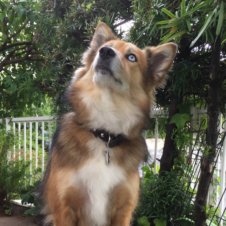 3ca481d8 db51 4fc4 bb51 599ed8589a64