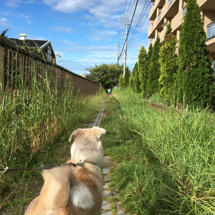 3ca49544 1d7f 4da8 9ff6 88cdf181be0e