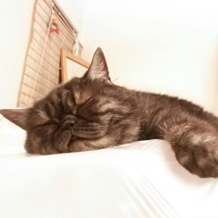 3ca52b28 9d4d 49ff 8778 d1d169f08bc5