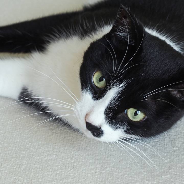 3ca58046 a92c 4875 a400 f15bcd694619