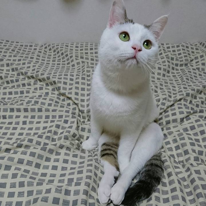 3ca58cf9 3228 4f36 bca1 a5c22fdf452a