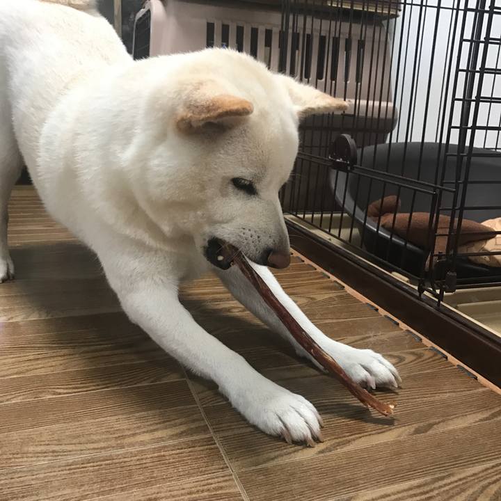 3ca59f64 0992 4fc4 89da 456596d4c93a