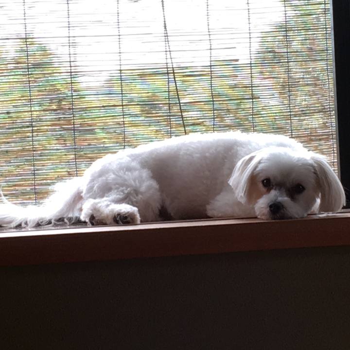 3ca5aee9 5ebd 493d ac21 4fb1102ebc07