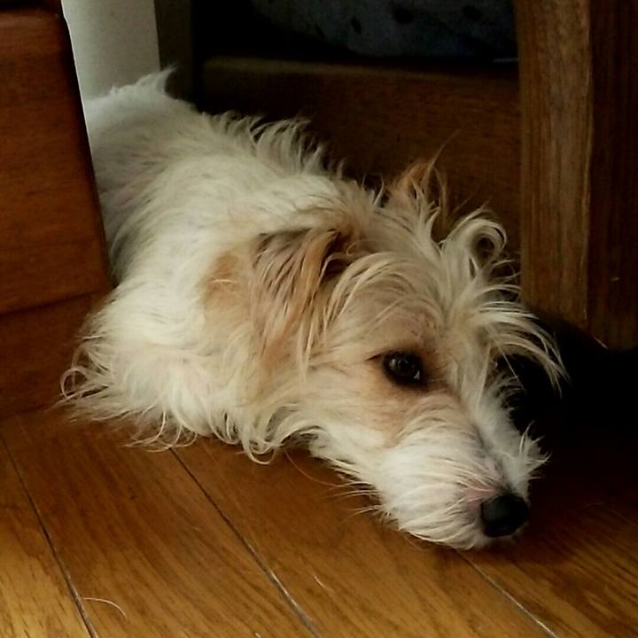 3ca63639 e7ad 405e 91d2 2c9b97a7e66d