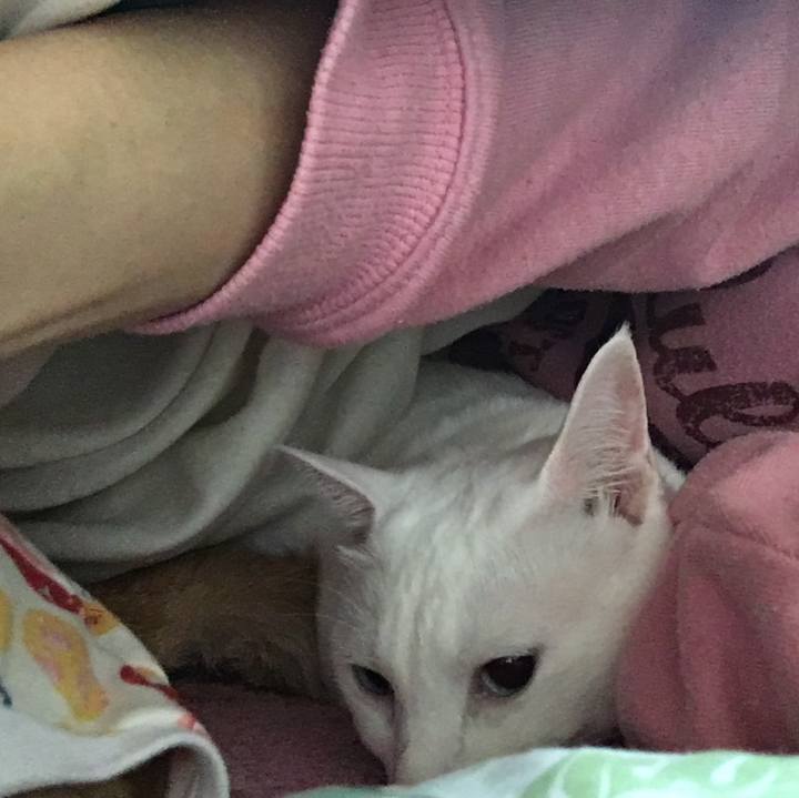 3ca69362 a36e 42f1 b19a 7294314f1c18