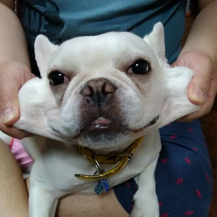 3ca7941e 1973 4098 823c 3777cf010283