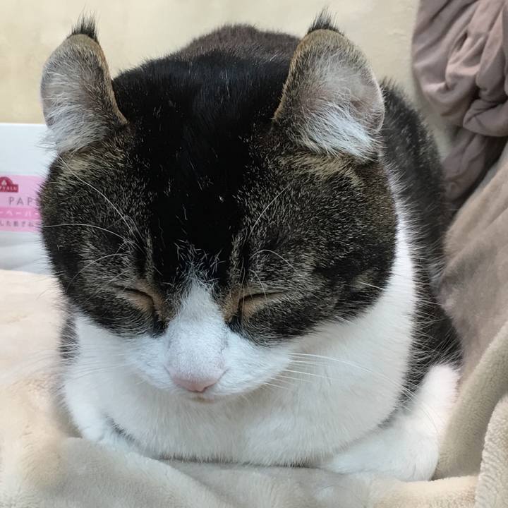 3ca7b2bb bf31 41b5 a154 cc7c24b6d788