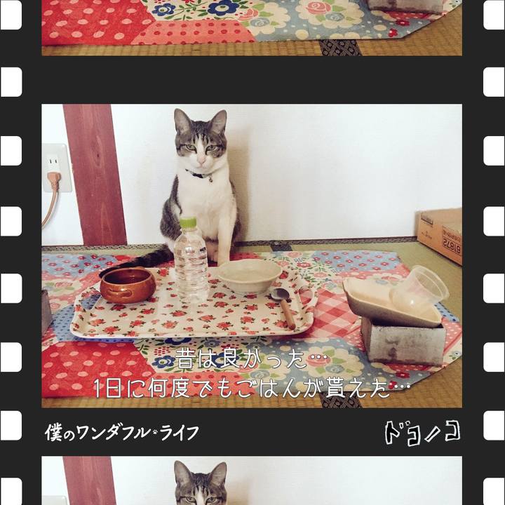 3ca7b516 fcd3 4c19 9b97 3e0528ed7f33