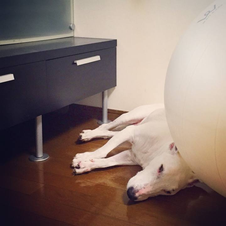 3ca7cdc8 3ad9 4d73 87e1 4ef3e000e45e