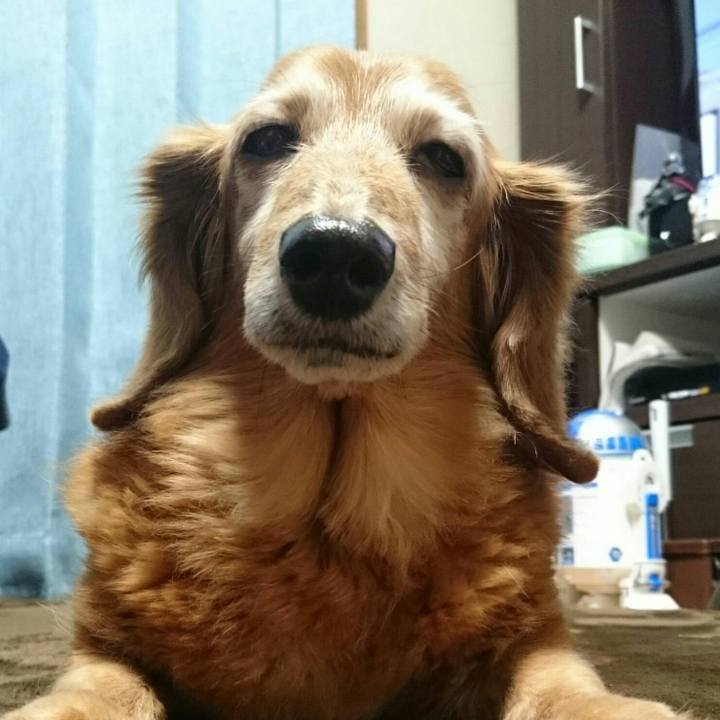 3ca7d532 cefd 4348 b350 35f1b12b32ae