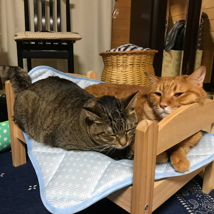 3ca7ef6b e7c7 4ad4 8905 c5102c11ed03