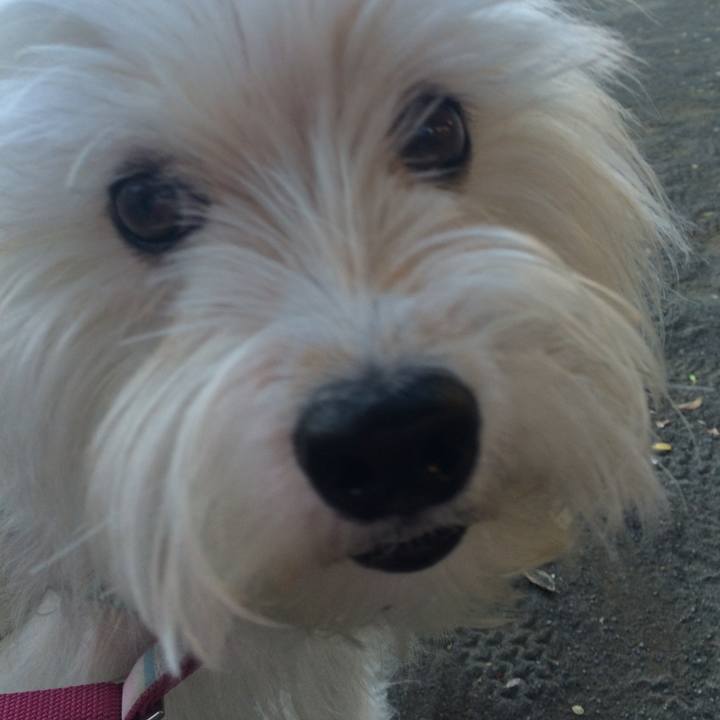 3ca85947 9a00 4f78 b92d f4d593373300