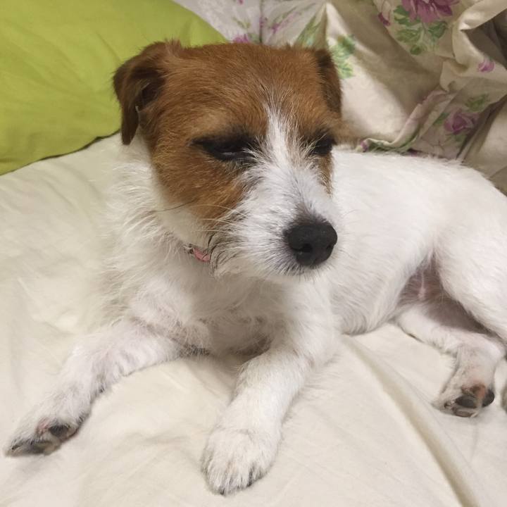 3ca85e7b b3b5 4de0 a6fc b25313d5973a