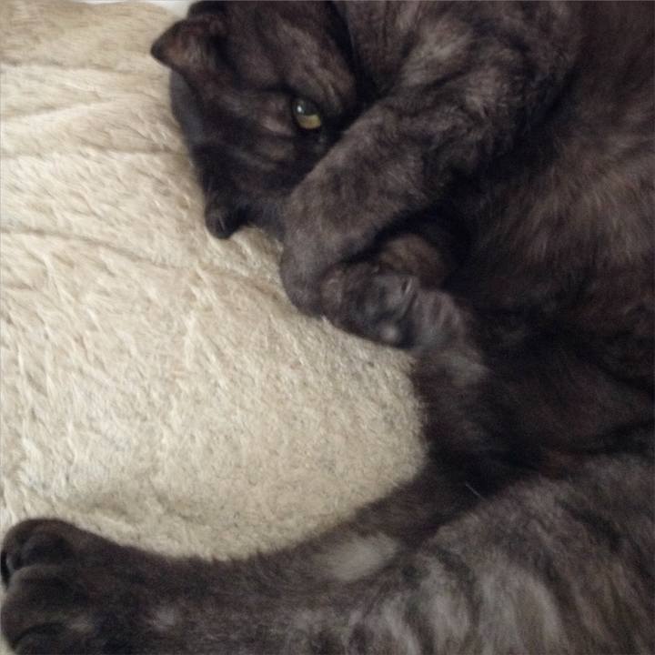 3ca8cf50 2614 4079 8b52 f0da1ee2463e