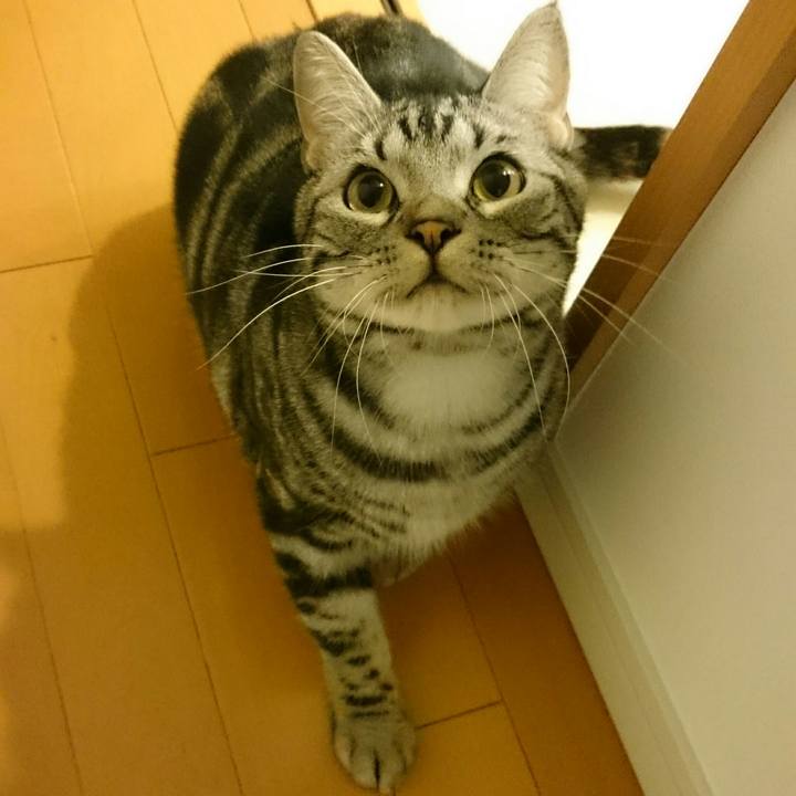 3ca9a8f6 9b36 4f71 81bc a2d6cd8721e5