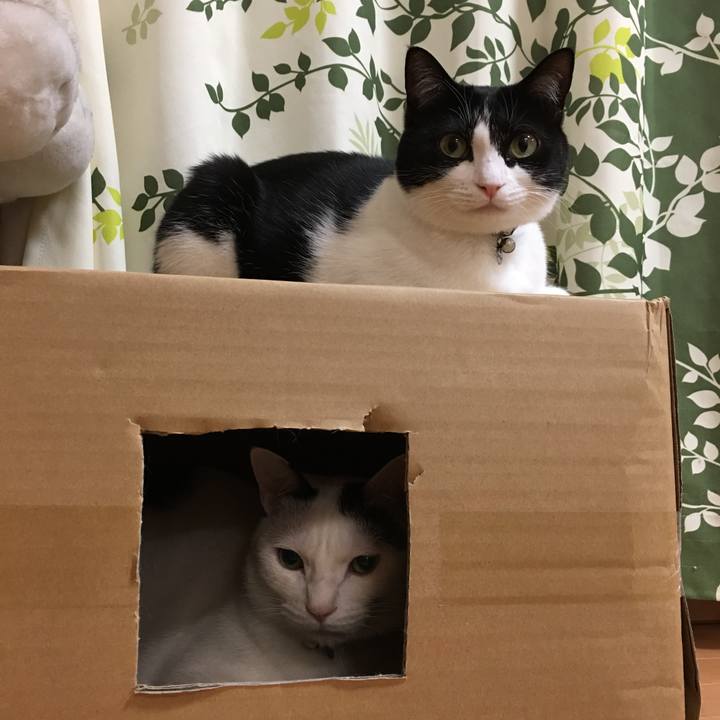 3caa46a7 0d95 4381 adf1 45bdb33c9da5