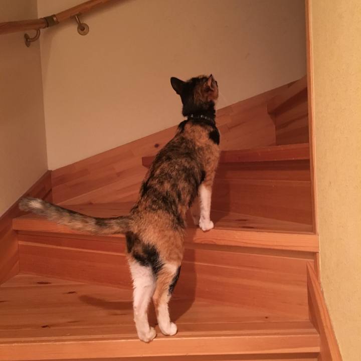 3cab1d11 c775 4df9 a355 4b27a8f1f363