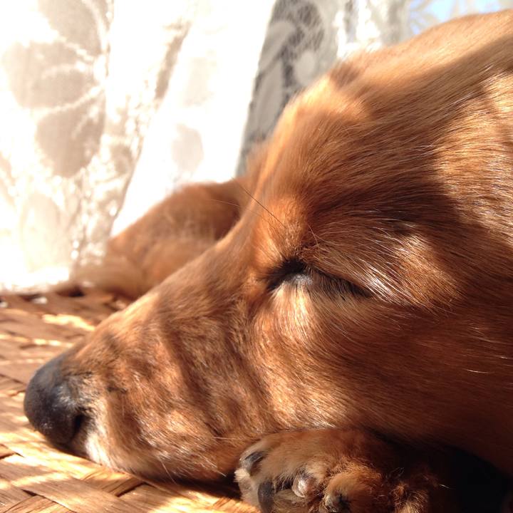 3cab8657 ec48 4192 ad40 a47bfdd55170