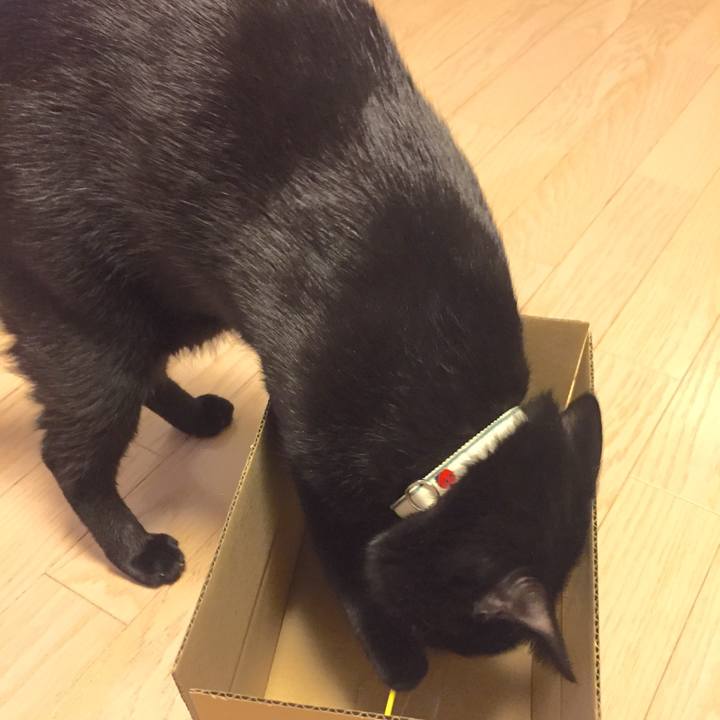 3cabe472 80c5 49ab 9724 88ee3d49a750