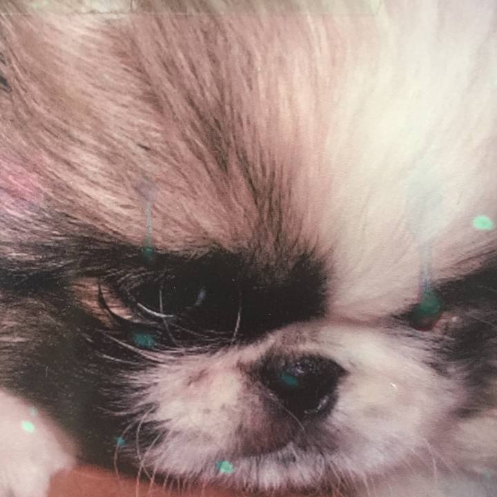 3cac5a17 f371 483d 9407 3fc4ac5b60bc