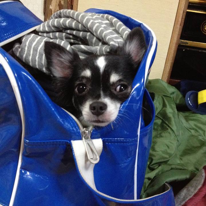 3cace2f2 49bf 4f9f b62a 4408d4fe5d95