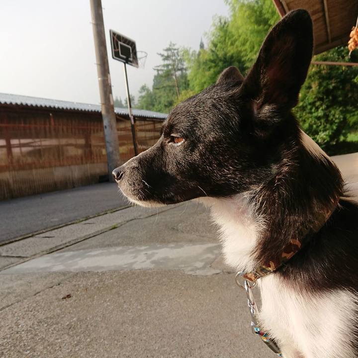 3cad3bb2 ac9f 4cef b0ee 3027e2de32da