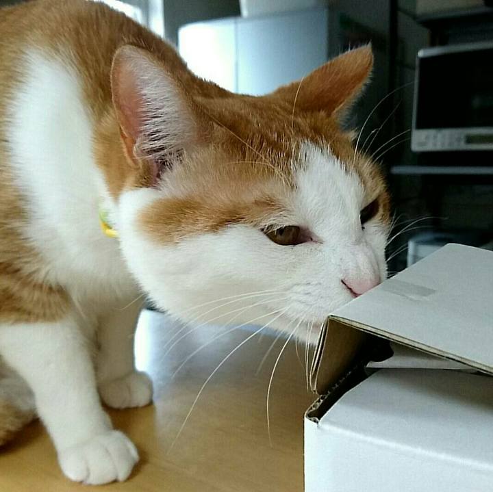 3cad4d78 d6c8 4a8c 9168 656f29d56e90