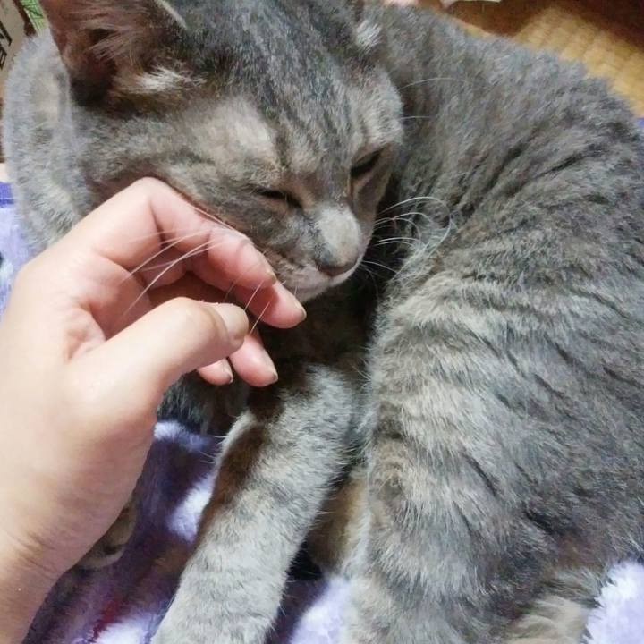 3cad7bc3 dc0c 483d 9806 c4e5af72d893