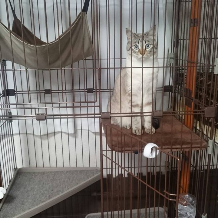 3cadd9e4 ee6c 42b4 b5d1 ccf398152d82