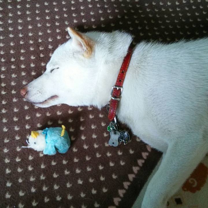 3cae5968 5e2f 4383 8dda 2ce492bf0b21