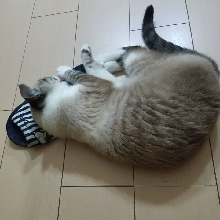 3cae9181 fa5f 417a b0ae cfb70acdedb7