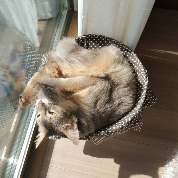 3caec132 ef98 4f7f a9b6 79b8793fc522