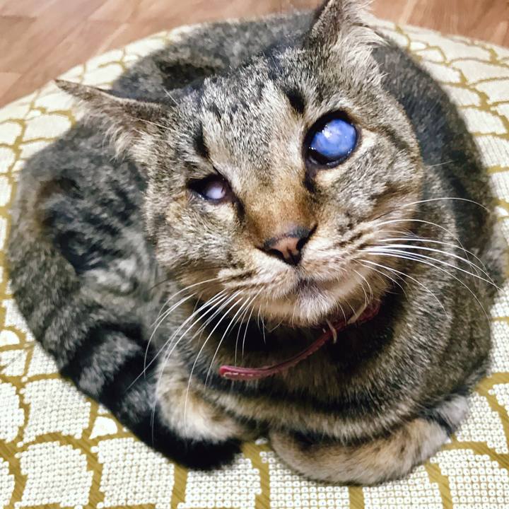 3caf7cd2 3048 4866 87ee 59696f60323f