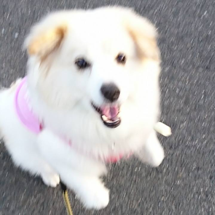 3cafe211 fa15 4c9f ac42 7f0f8096040f