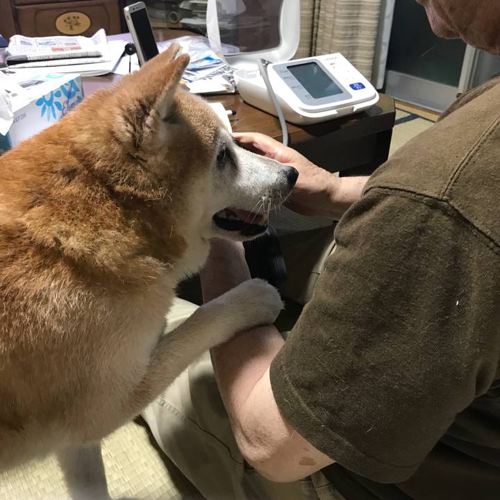 3cb0254e 8139 4389 9dd8 1bb95c8ac65a