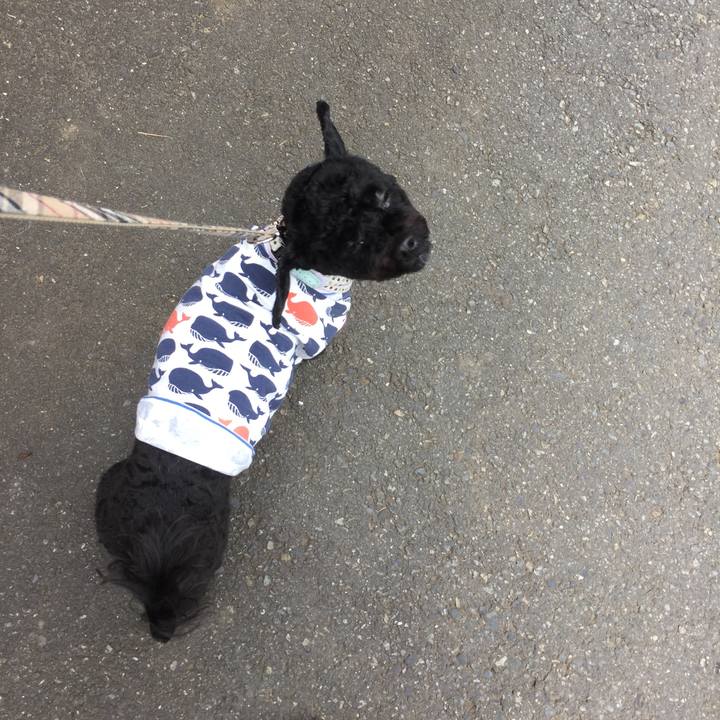 3cb060a5 4a77 494b 8e9a 91159d116b5c