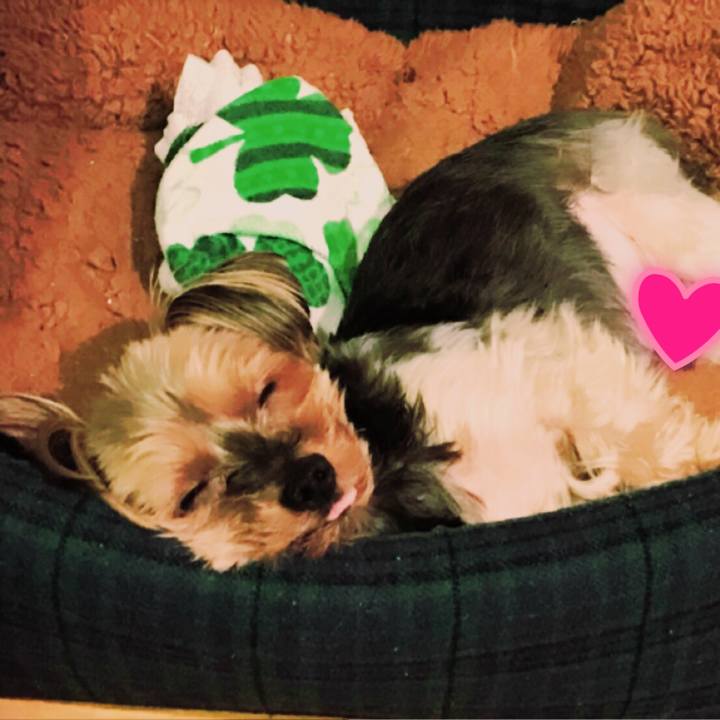 3cb06e27 f9a7 417d 9bb0 3be632c1f6e7