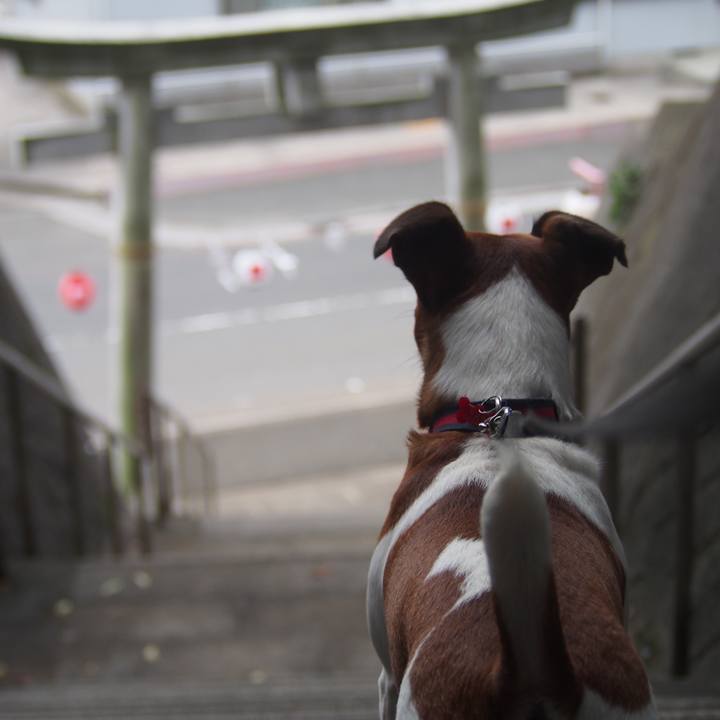 3cb0c769 2557 4bda 81eb 3563558ded14