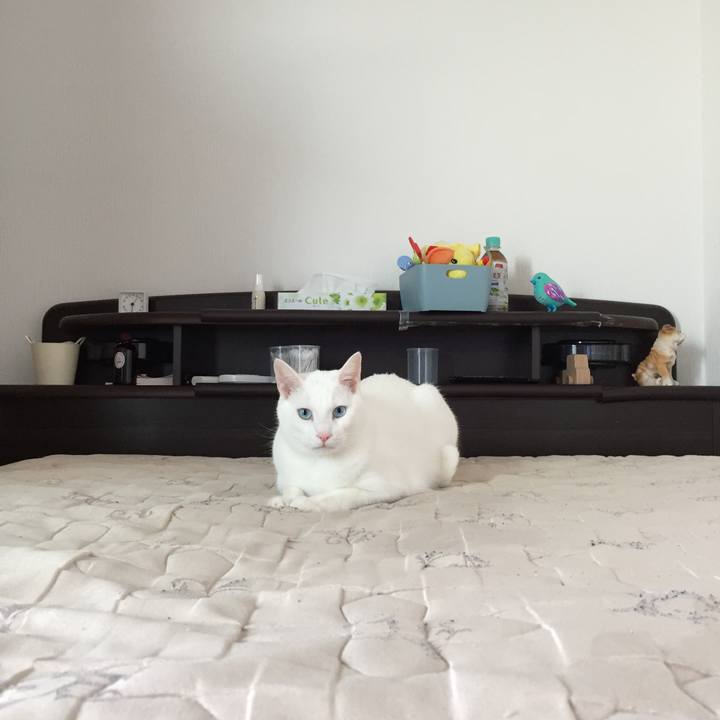 3cb0d44c 87a2 4e05 8ed5 5357b7cf672e