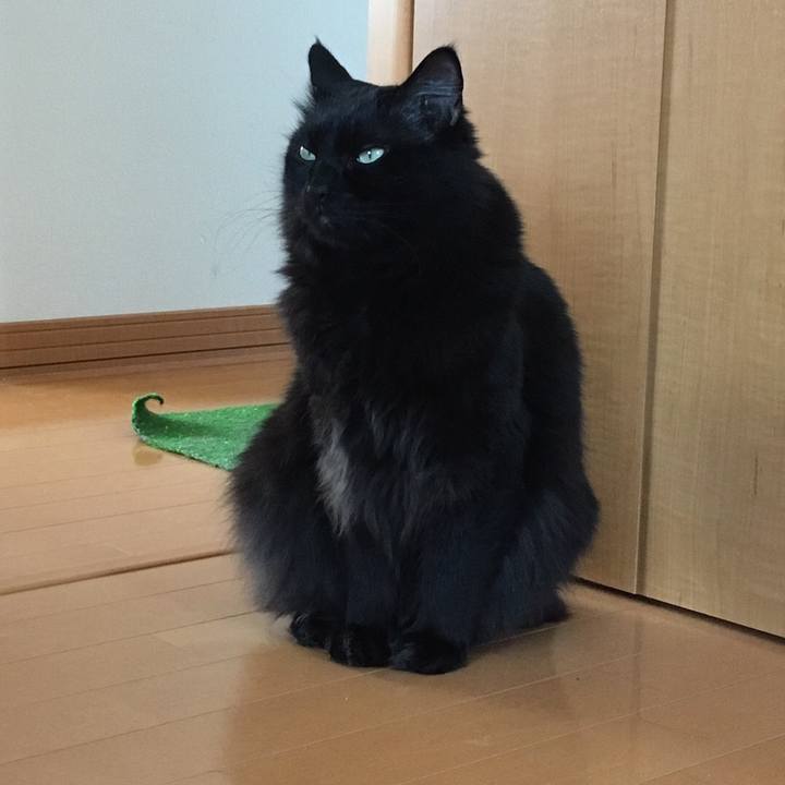 3cb10cdb e0ee 43e0 8f2b 0111b3debf69