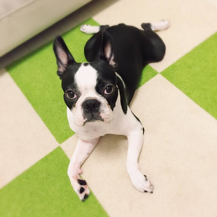 3cb126c4 b671 44eb 9623 2fc42c0f715e