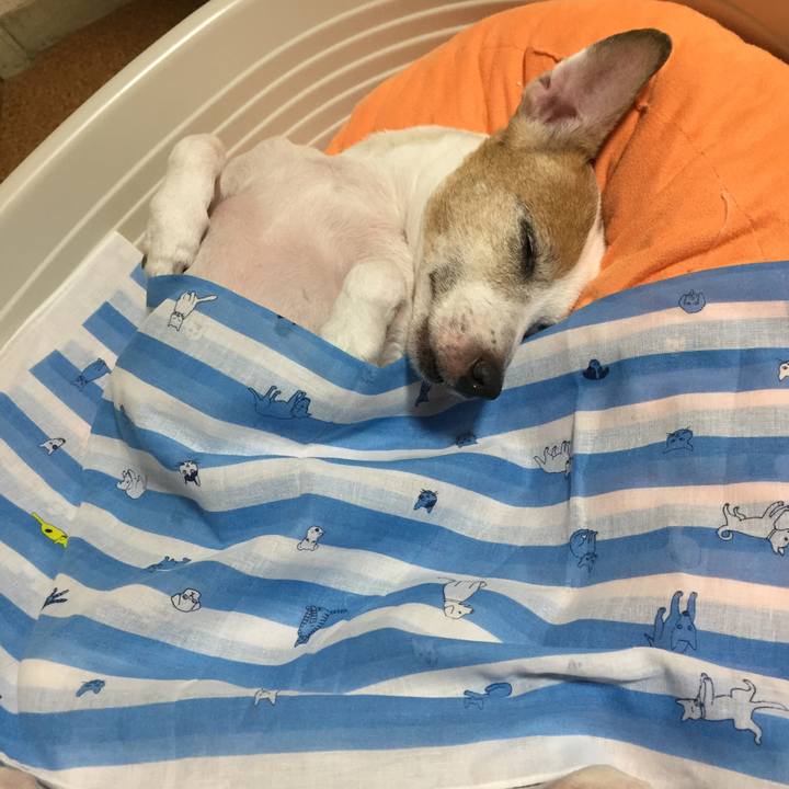 3cb23377 24f5 4b0c a879 cd1997fa9bba