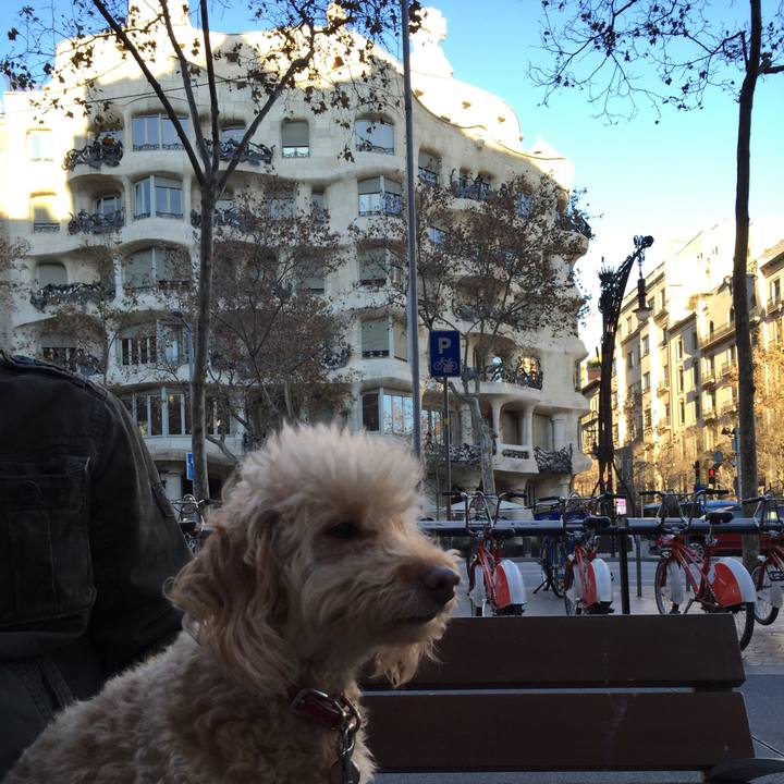 3cb2c8a3 0071 4ba8 883a 3dd9cdf305ae