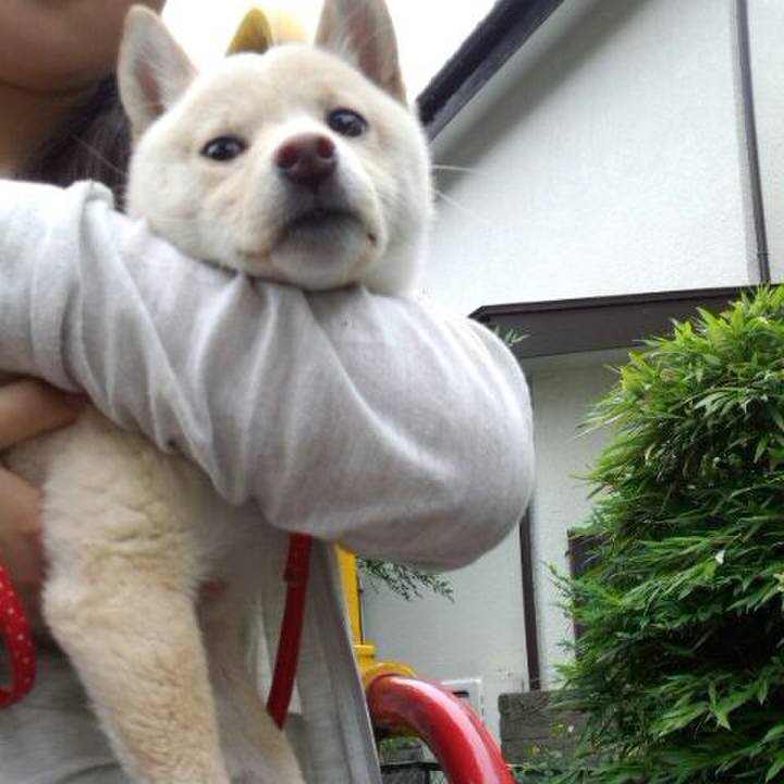 3cb3145c 3682 4769 bedf 738b27780a5e